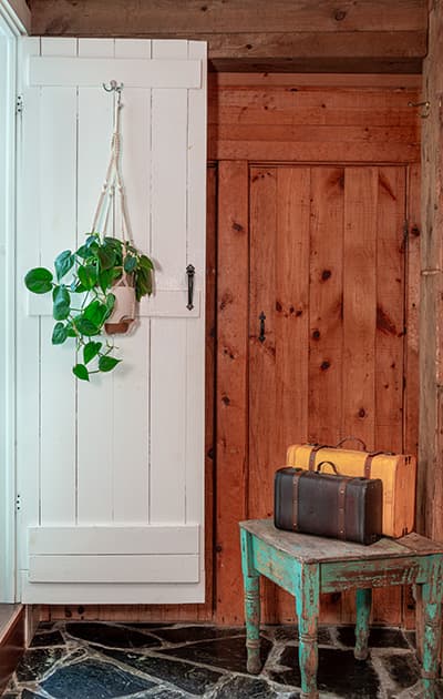 Two suitcases next to a wooden wall with a live plant in our Vermont Wall
